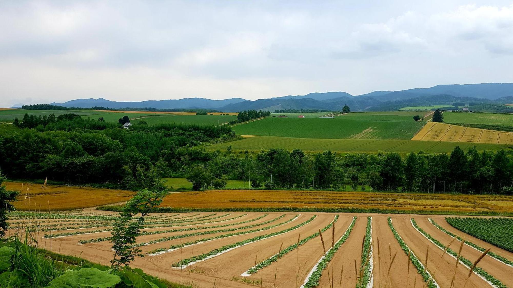 Furano B&B Luaran gambar