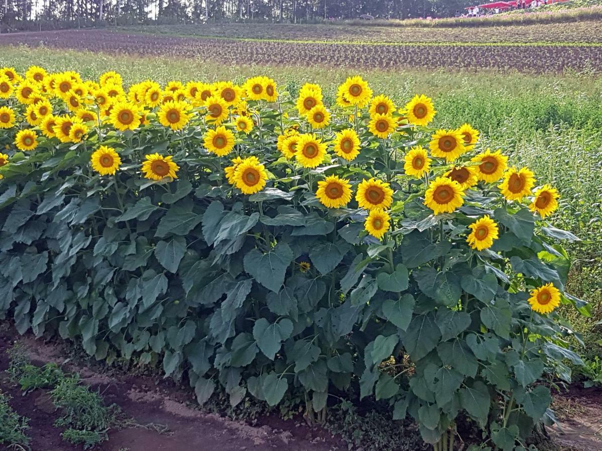 Furano B&B Luaran gambar